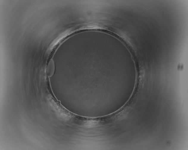 X0000113341173200909291023