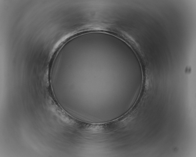 X0000113341174200909291023