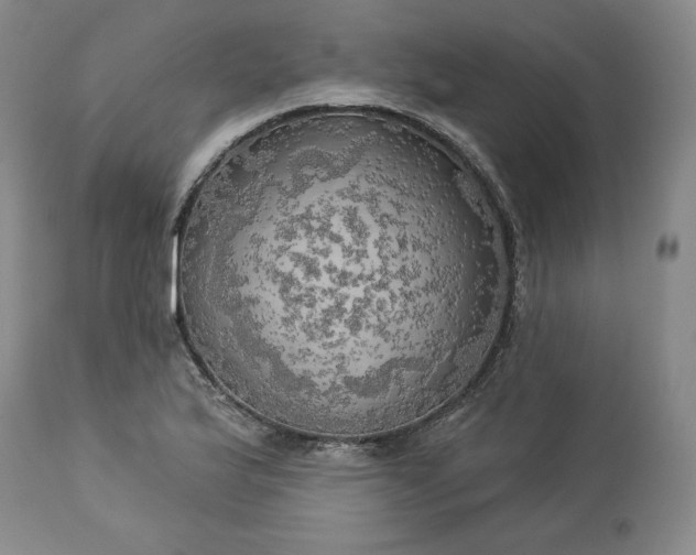 X0000113341175200909291023