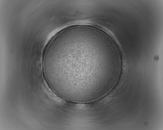 X0000113341176200909291023