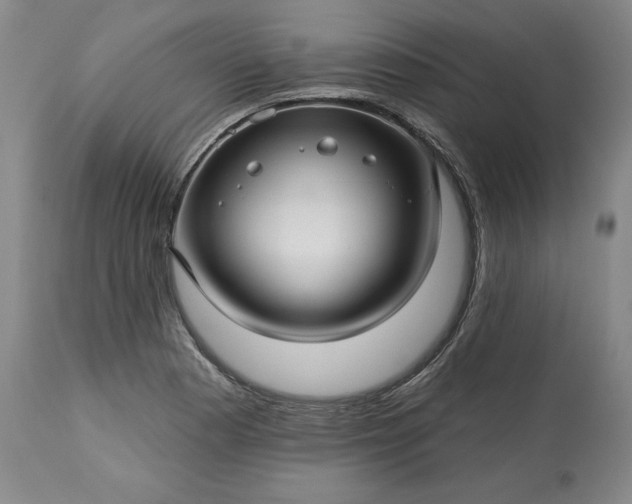 X0000113341177200909291023