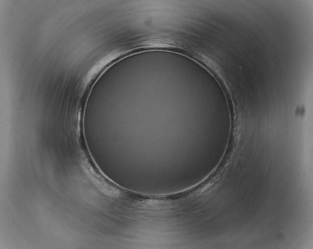 X0000113341179200909291023