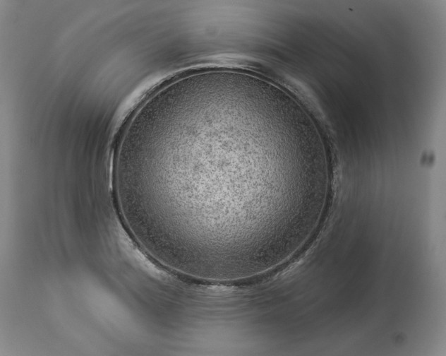 X0000113341180200909291023