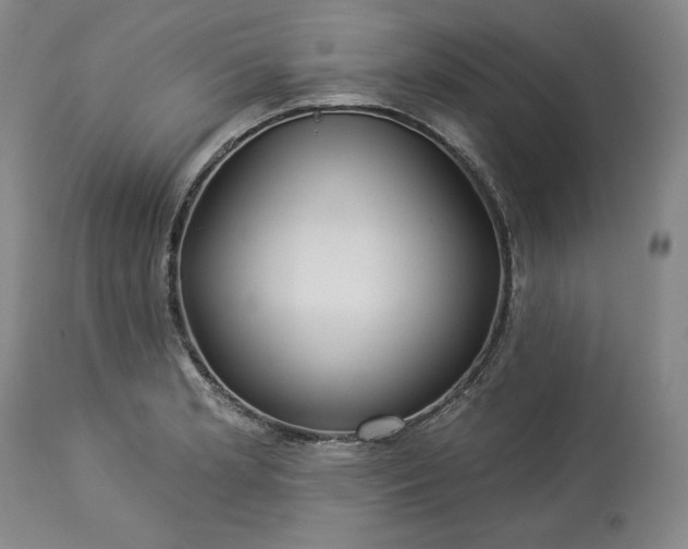 X0000113341181200909291023