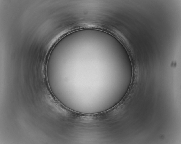 X0000113341182200909291022