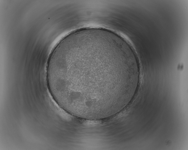 X0000113341183200909291022