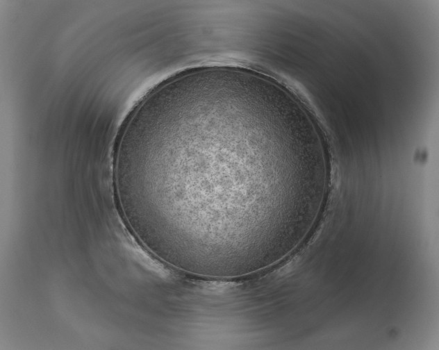 X0000113341184200909291022