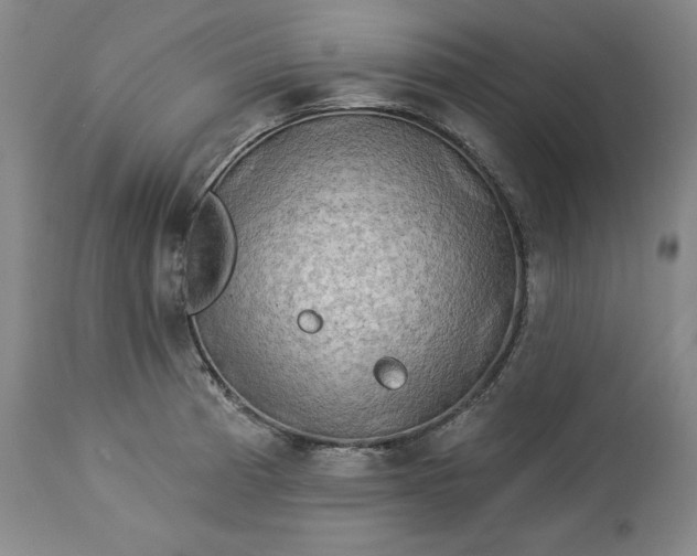 X0000113341185200909291022