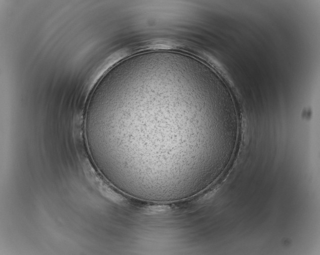 X0000113341186200909291022