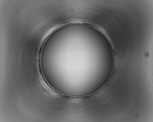 X0000113341187200909291022