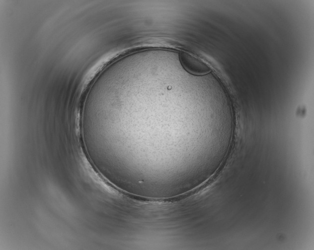 X0000113341188200909291022