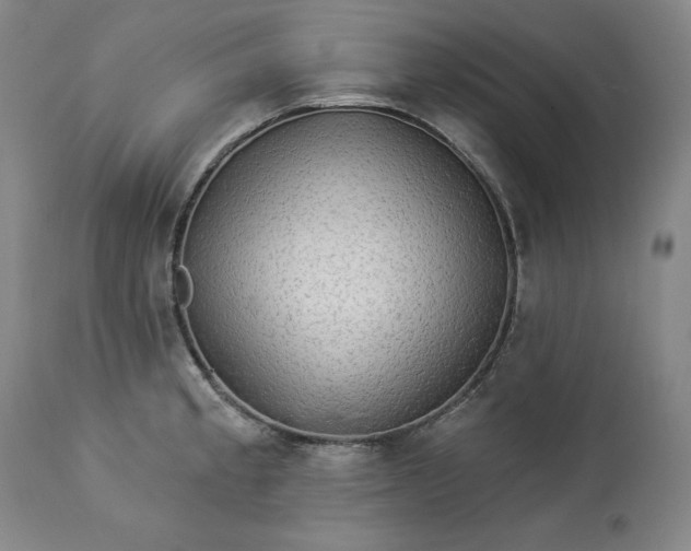 X0000113341189200909291022