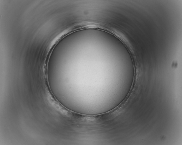 X0000113341190200909291022