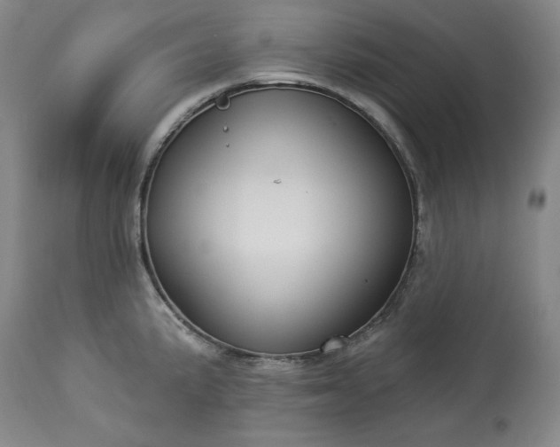 X0000113341191200909291022