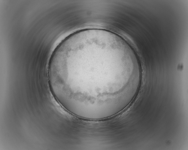 X0000113341192200909291022