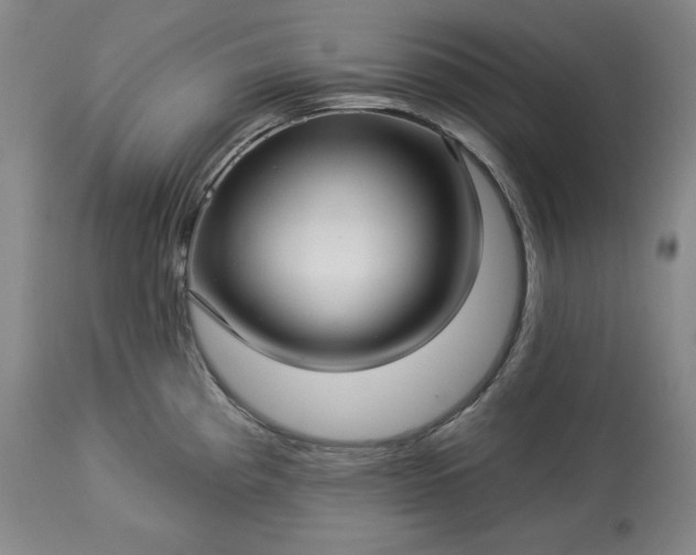 X0000113341193200909291022