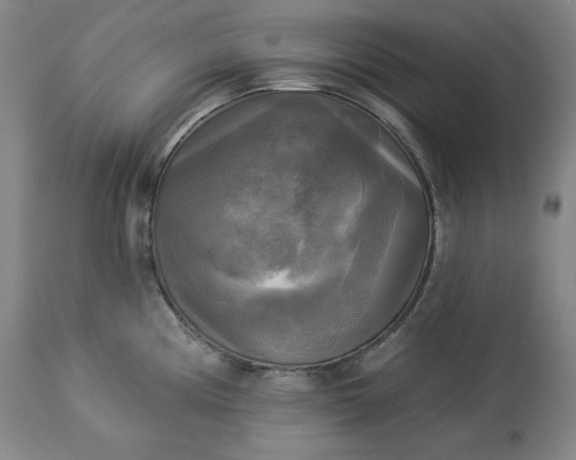 X0000113341194200909291022