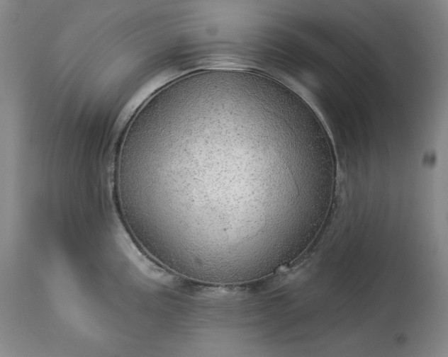 X0000113341195200909291022