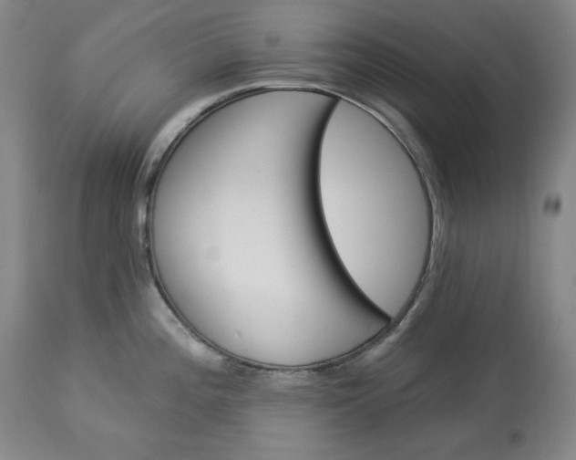 X0000113341196200909291022