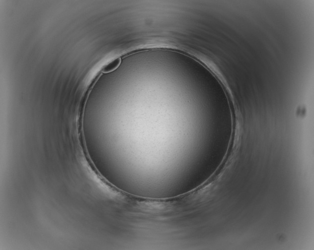 X0000113341197200909291022