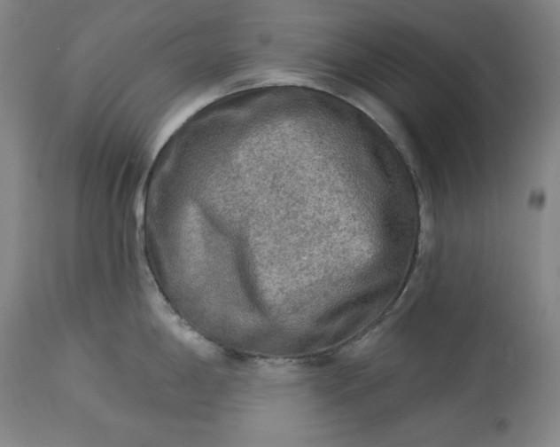 X0000113341198200909291022