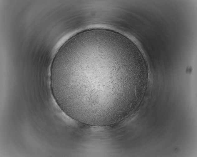 X0000113341199200909291022