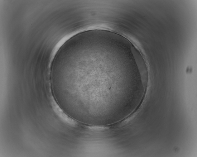 X0000113341200200909291022