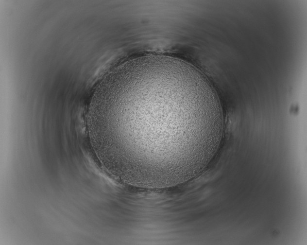 X0000113341202200909291022