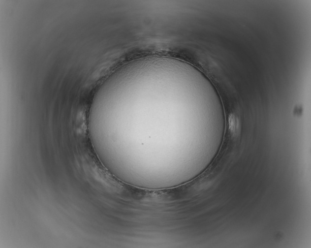 X0000113341203200909291022