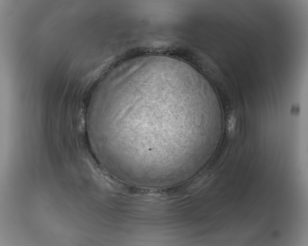 X0000113341204200909291022