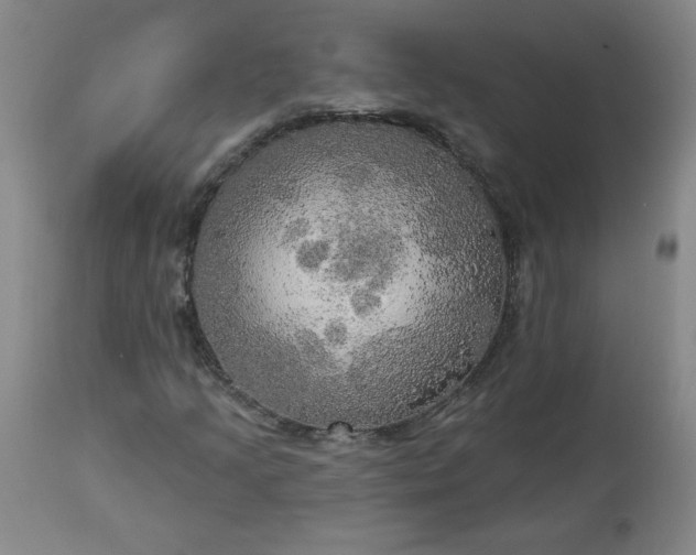 X0000113341205200909291022