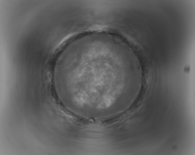 X0000113341206200909291022