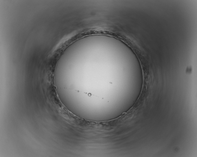 X0000113341207200909291022