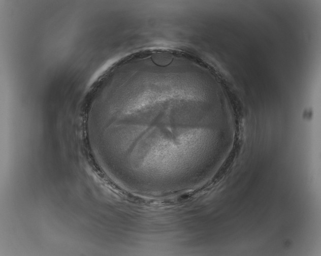 X0000113341208200909291022