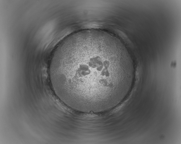 X0000113341209200909291022