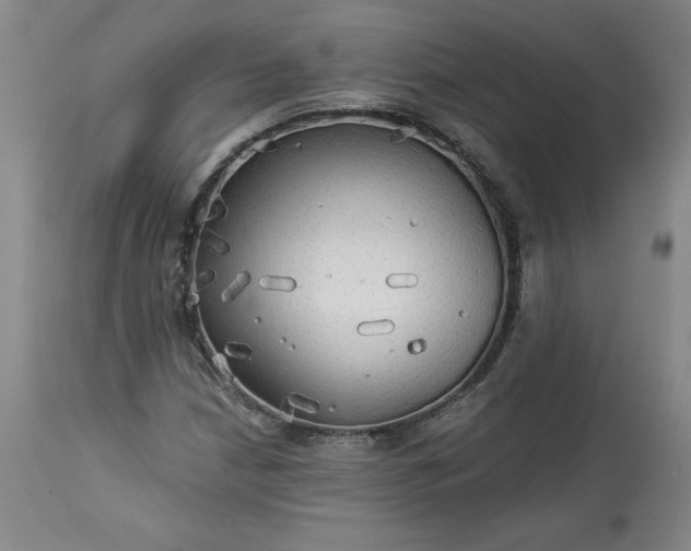 X0000113341210200909291022