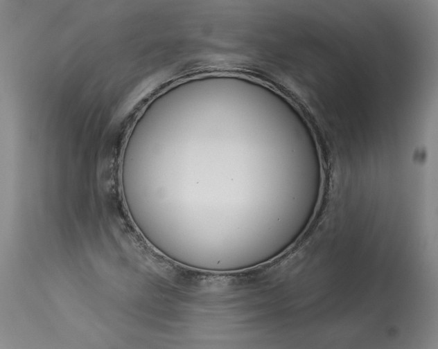 X0000113341211200909291022