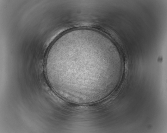 X0000113341212200909291022