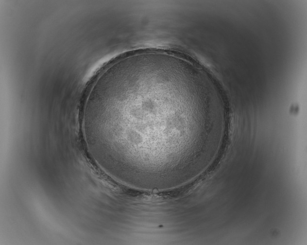 X0000113341214200909291022