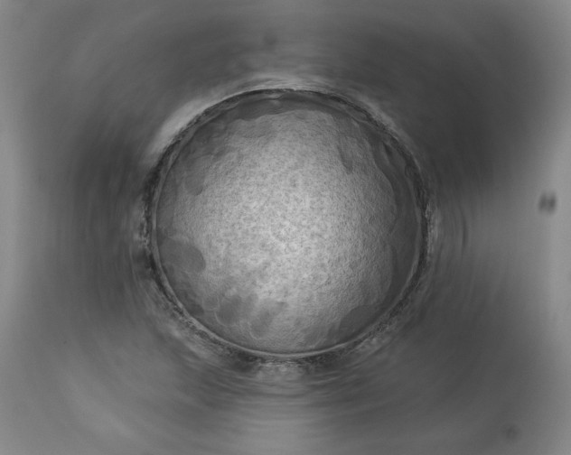 X0000113341215200909291022