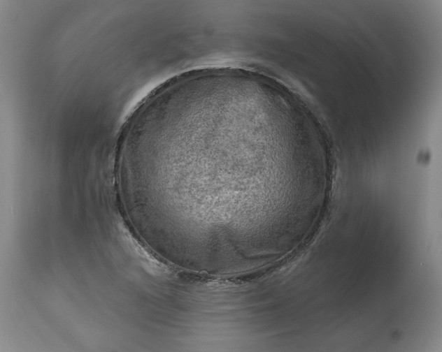 X0000113341216200909291022