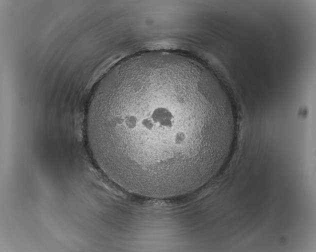 X0000113341217200909291022