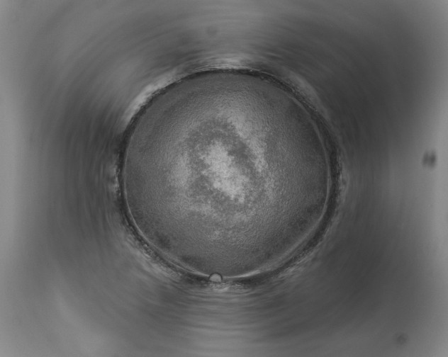 X0000113341218200909291022