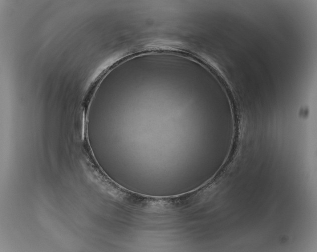 X0000113341219200909291022