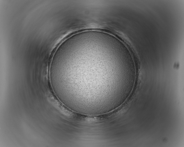 X0000113341220200909291022