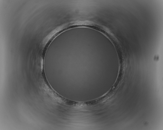 X0000113341221200909291022