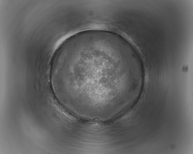 X0000113341222200909291022