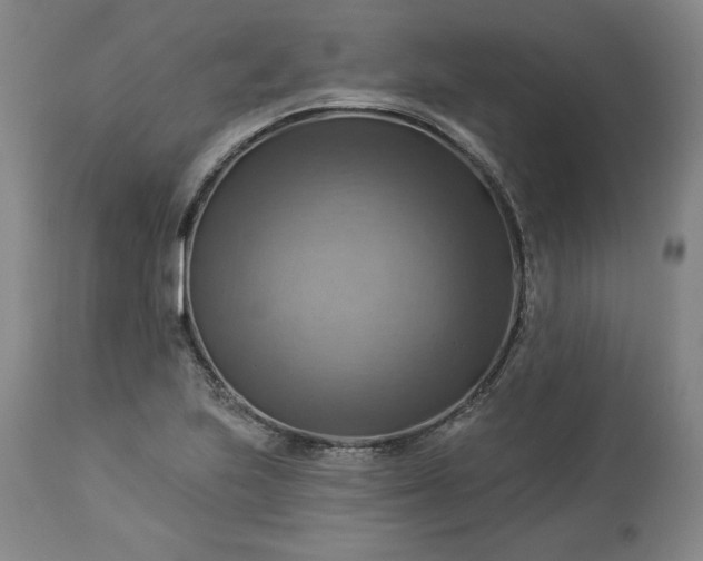 X0000113341223200909291022