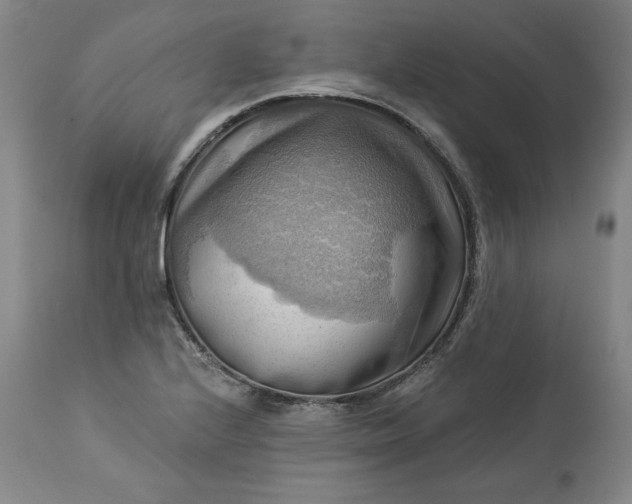 X0000113341224200909291022