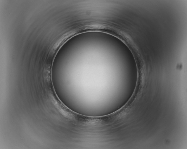 X0000113341225200909291022